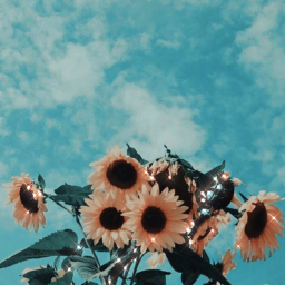 ☆