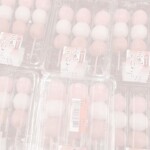 ⑅ ｡ﾟ. ♡︎ ୨୧