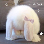 ღ Bunny's Playpen ღ