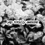 Julie's Awsome Gang