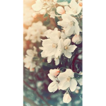 Flower Power Clouds