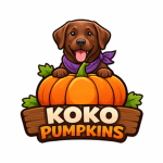 Koko Pumpkins