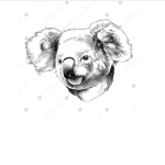 koala gang gorup name taken