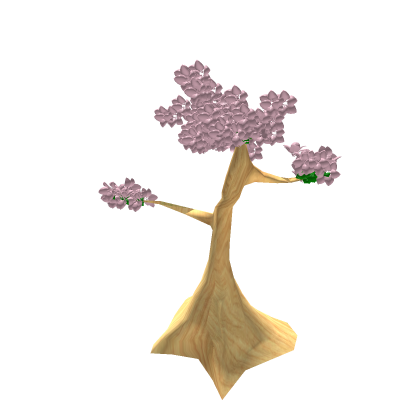 Cherry Blossom Tree