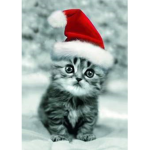 Team Kitten ORIGINAL