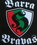 Zagłębie hooligans