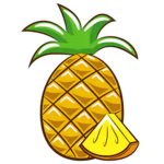 The Pineapple Nati0n