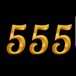 TEAM 555