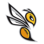 Hornets HighSchool Football Program