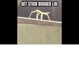 GET STICKBUGGED LOL Hangout 900+ Visits! 😲