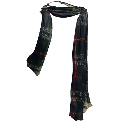 Cozy Winter Christmas Autumn Scarf in Green Red