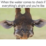 LILY LOOK HERE