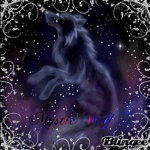 Mystic~Wolves Group