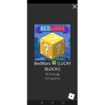 bedwars playz