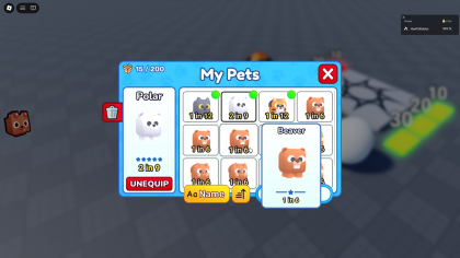 Pet System preview 3