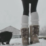 I love animals:)