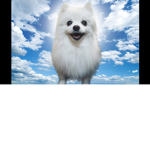 Gabe The Dog Hangout