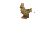 Ethan give bobux
