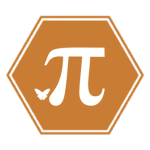Pi Head Collective