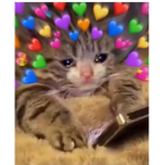Hï