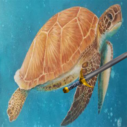 Turtle Fight