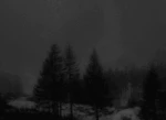 DanyWin Group Group Thumbnail