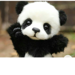 Penda Roblox