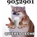 The leche group