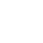 INT8
