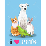 Animal world :D