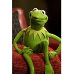 the top frogs