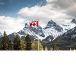 The Canadian roblox gang