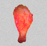 RED CHICKEN LEG