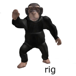 Rig