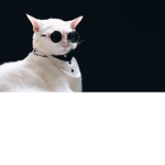 Mlgkoolaid's group