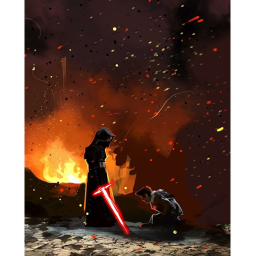 Poe dameron's capture