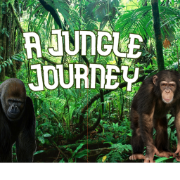 A Jungle Journey
