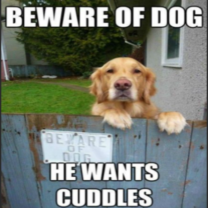 dog meme Roblox decal
