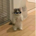Cookie(Keks)