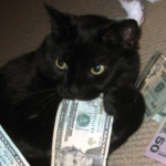 1 1