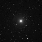 ‘star