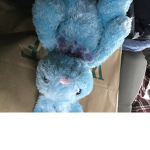 Bunny’s