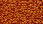The baked bean army-