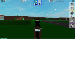 ROPLAY game