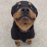 aaaaaaaaaaaaaaaaaaaa hlep me