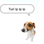 tshe ik