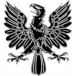 Operation BlackHawk