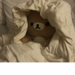 Aesthetic Bears