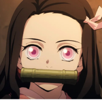 Demon slayers (nezuko allowed)