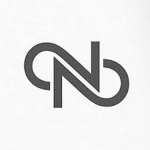 noble insurgence